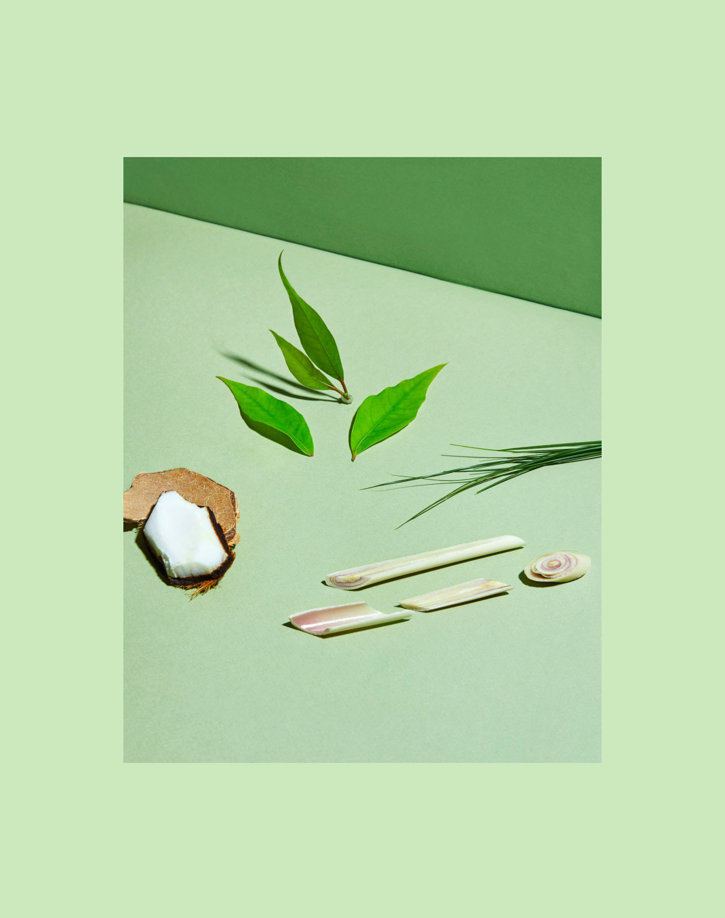 DHLattes_Matcha_2-1