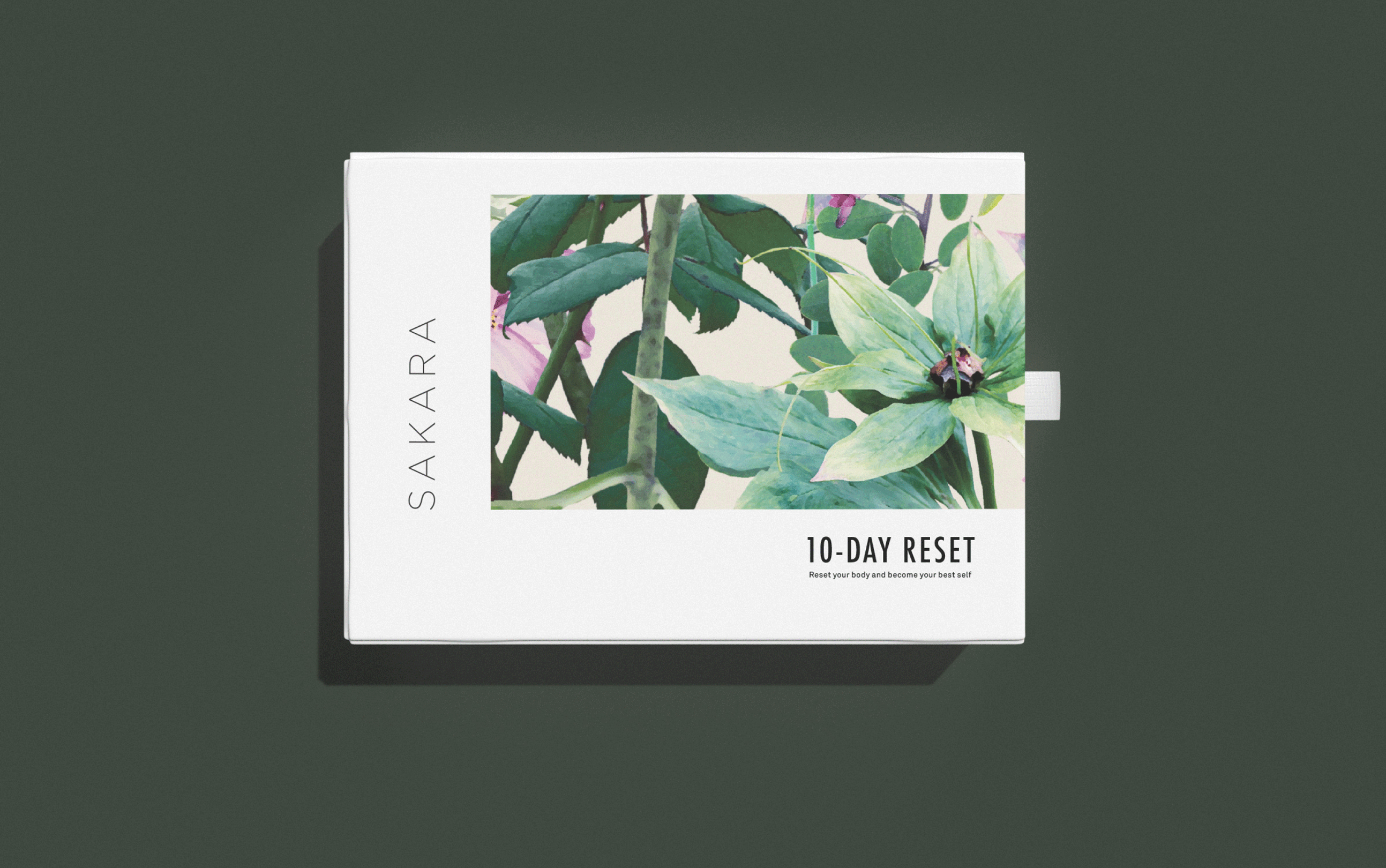 Sakara_05-2